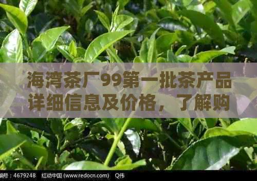 海湾茶厂99之一批茶产品详细信息及价格，了解购买渠道和口感特点