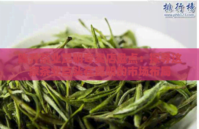 陈升茶业昆明专卖店盘点：探寻这家茶业巨头在昆明的市场布局