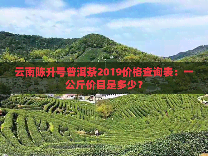 云南陈升号普洱茶2019价格查询表：一公斤价目是多少？