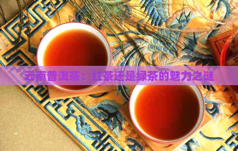 云南普洱茶：红茶还是绿茶的魅力之谜