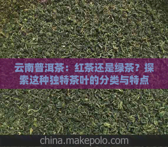 云南普洱茶：红茶还是绿茶？探索这种独特茶叶的分类与特点