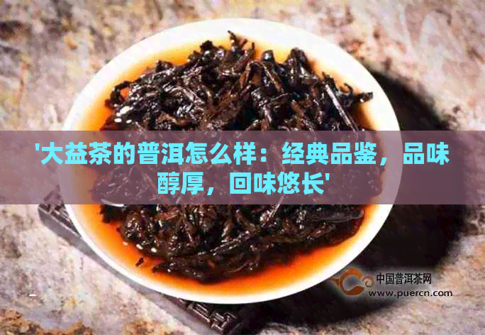 '大益茶的普洱怎么样：经典品鉴，品味醇厚，回味悠长'