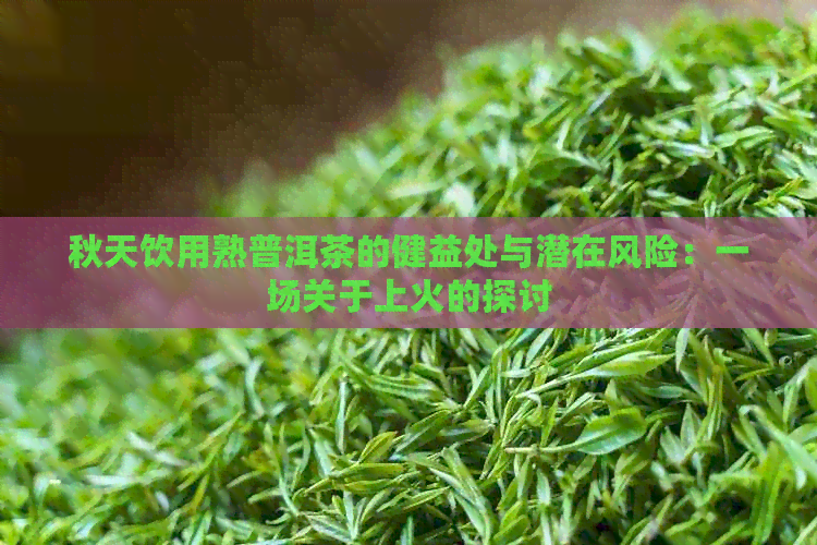 秋天饮用熟普洱茶的健益处与潜在风险：一场关于上火的探讨