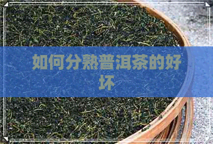 如何分熟普洱茶的好坏