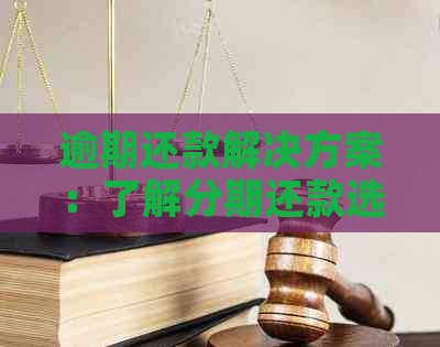 逾期还款解决方案：了解分期还款选项以避免影响信用评分