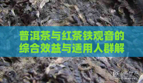 普洱茶与红茶铁观音的综合效益与适用人群解析