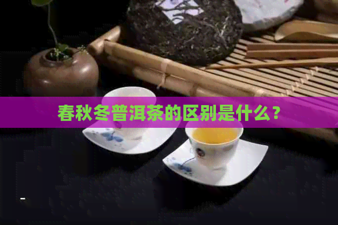 春秋冬普洱茶的区别是什么？