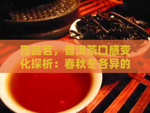 四品茗，普洱茶口感变化探析：春秋冬各异的美妙之处