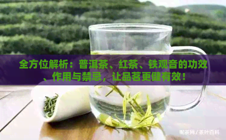 全方位解析：普洱茶、红茶、铁观音的功效、作用与禁忌，让品茗更健有效！