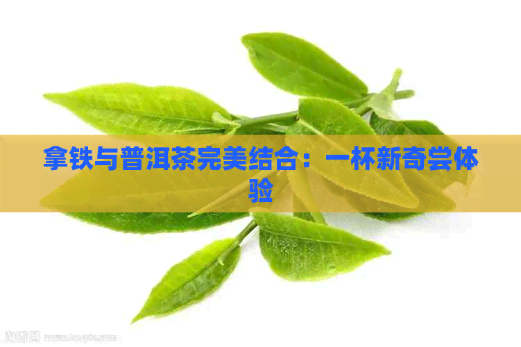 拿铁与普洱茶完美结合：一杯新奇尝体验