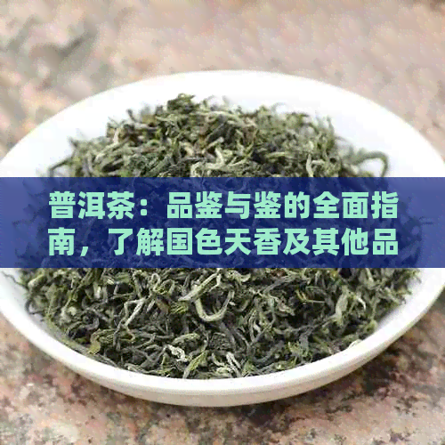 普洱茶：品鉴与鉴的全面指南，了解国色天香及其他品种的特点与区别