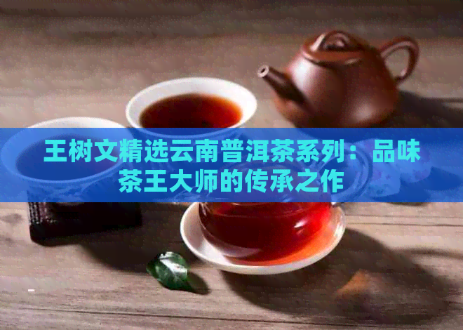 王树文精选云南普洱茶系列：品味茶王大师的传承之作