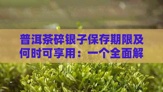 普洱茶碎银子保存期限及何时可享用：一个全面解答常见问题的文章