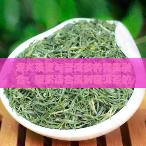 坭兴茶壶与普洱茶的完美融合：探索适合泡制普洱茶的选择