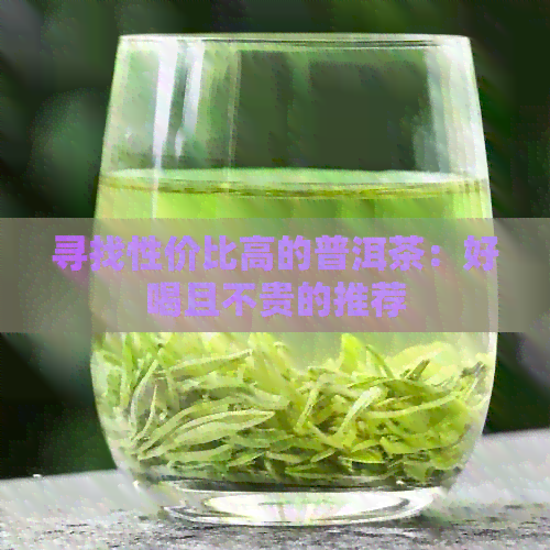 寻找性价比高的普洱茶：好喝且不贵的推荐