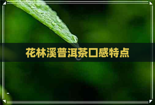 花林溪普洱茶囗感特点