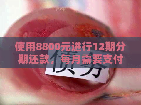 使用8800元进行12期分期还款，每月需要支付的金额是多少？