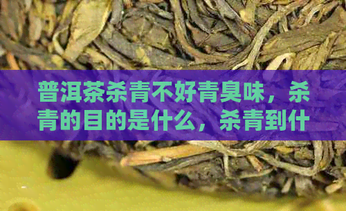 普洱茶杀青不好青臭味，杀青的目的是什么，杀青到什么程度为宜？