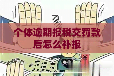 个体逾期报税交罚款后怎么补报