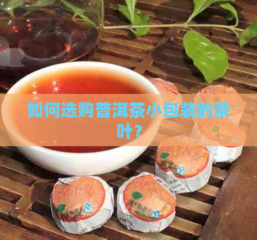 如何选购普洱茶小包装的茶叶？