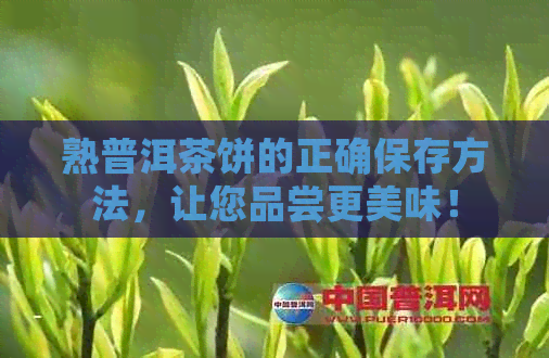 熟普洱茶饼的正确保存方法，让您品尝更美味！