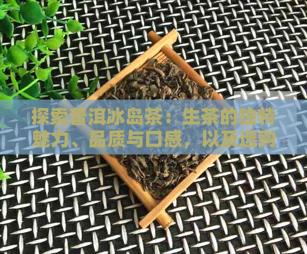 探索普洱冰岛茶：生茶的独特魅力、品质与口感，以及选购和品鉴技巧