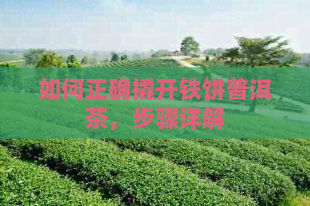 如何正确撬开铁饼普洱茶，步骤详解