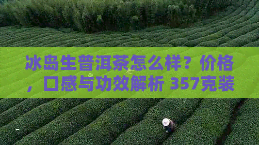 冰岛生普洱茶怎么样？价格，口感与功效解析 357克装