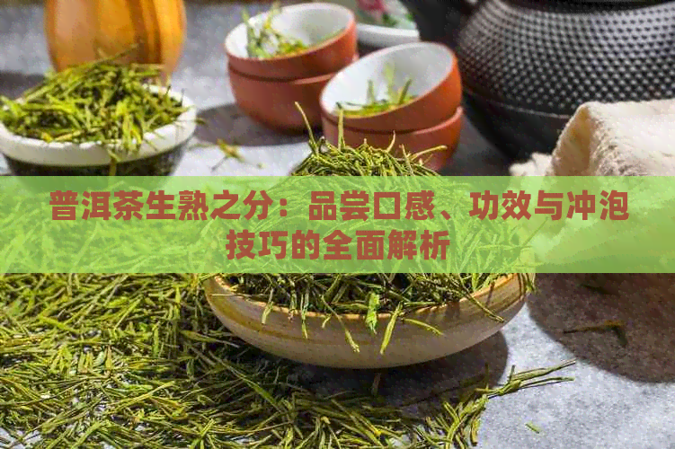 普洱茶生熟之分：品尝口感、功效与冲泡技巧的全面解析