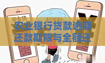 农业银行贷款逾期还款期限与全额还款要求解析：用户常见问题解答