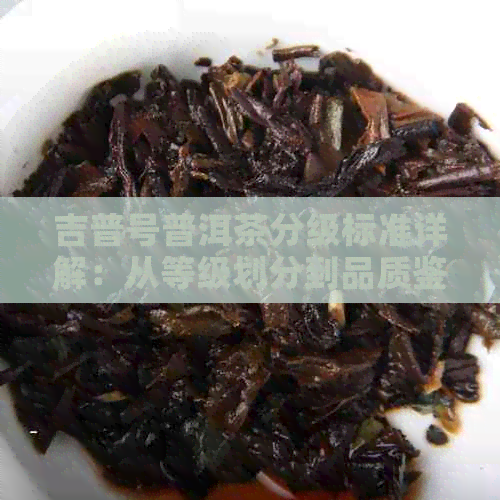 吉普号普洱茶分级标准详解：从等级划分到品质鉴，全面了解普洱茶分类