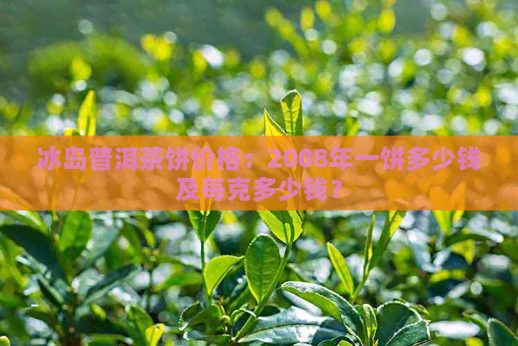 冰岛普洱茶饼价格：2008年一饼多少钱及每克多少钱？