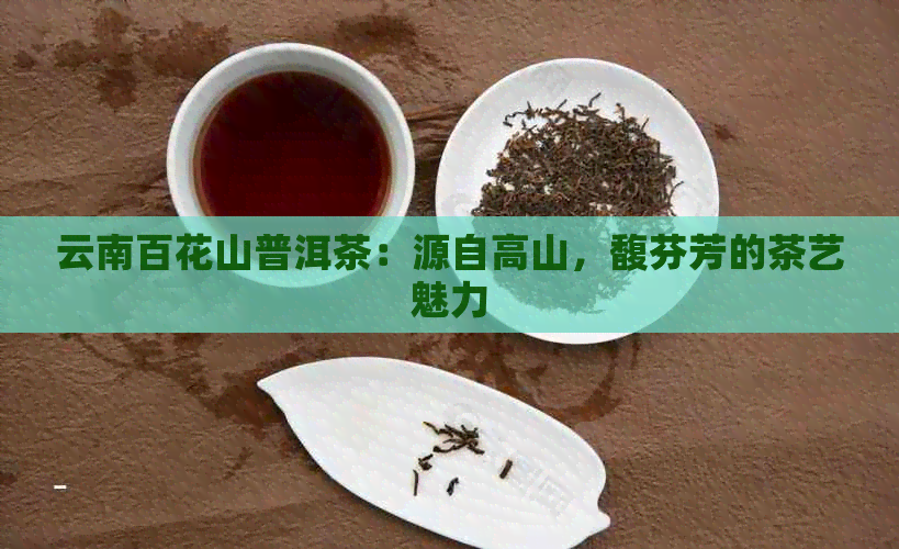 云南百花山普洱茶：源自高山，馥芬芳的茶艺魅力