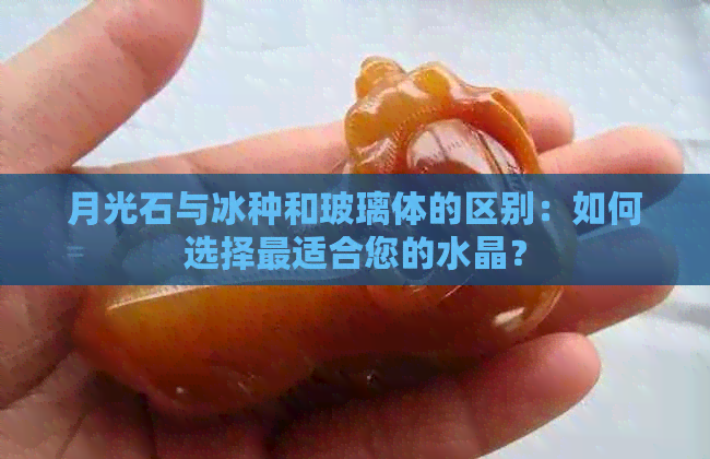 月光石与冰种和玻璃体的区别：如何选择最适合您的水晶？