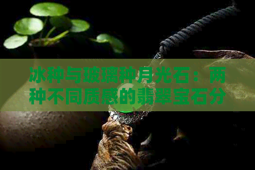 冰种与玻璃种月光石：两种不同质感的翡翠宝石分析