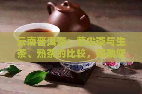 云南普洱茶：芽尖茶与生茶、熟茶的比较，帮助您选择最适合您的茶叶