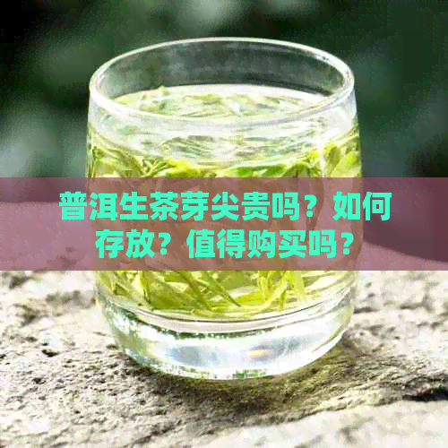 普洱生茶芽尖贵吗？如何存放？值得购买吗？