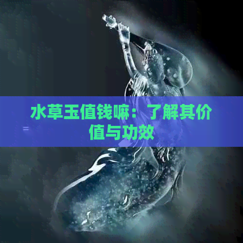 水草玉值钱嘛：了解其价值与功效