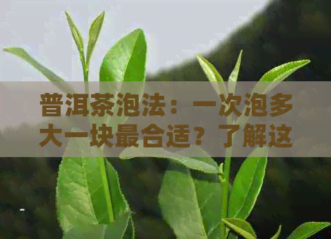 普洱茶泡法：一次泡多大一块最合适？了解这些因素让泡茶更得心应手