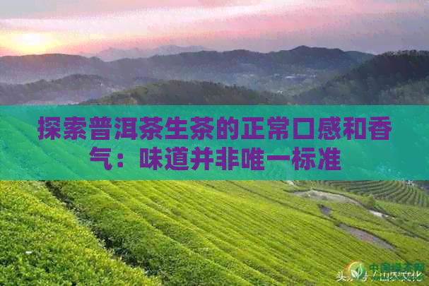 探索普洱茶生茶的正常口感和香气：味道并非唯一标准