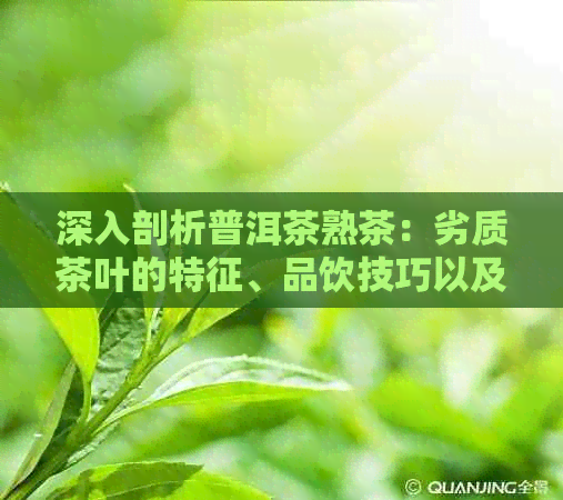 深入剖析普洱茶熟茶：劣质茶叶的特征、品饮技巧以及对健的影响