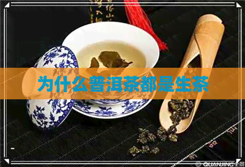 为什么普洱茶都是生茶