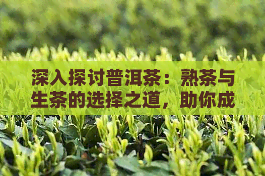 深入探讨普洱茶：熟茶与生茶的选择之道，助你成为茶叶专家