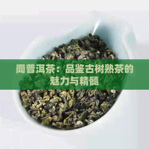 闻普洱茶：品鉴古树熟茶的魅力与精髓