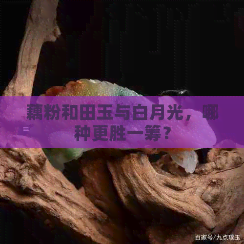 藕粉和田玉与白月光，哪种更胜一筹？