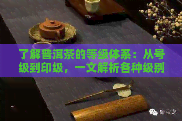 了解普洱茶的等级体系：从号级到印级，一文解析各种级别的区别与特点