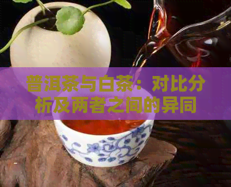 普洱茶与白茶：对比分析及两者之间的异同