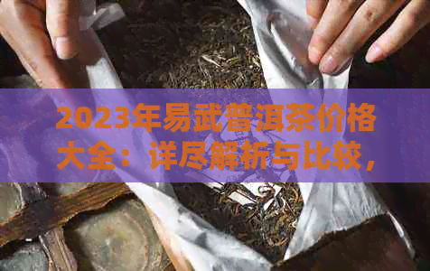 2023年易武普洱茶价格大全：详尽解析与比较，助您轻松选购优质茶叶