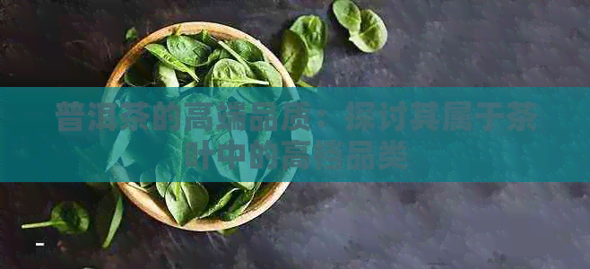 普洱茶的高端品质：探讨其属于茶叶中的高档品类