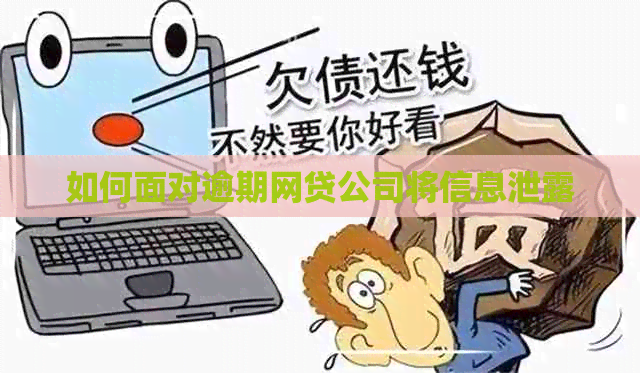 如何面对逾期网贷公司将信息泄露